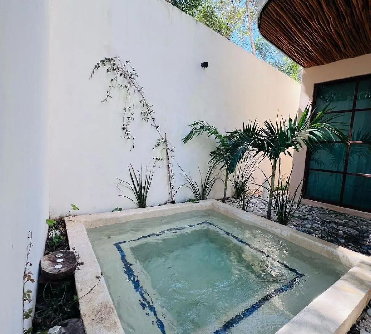 Apartment Charming Boutique Condo Jungle Views Private Pool Tulum