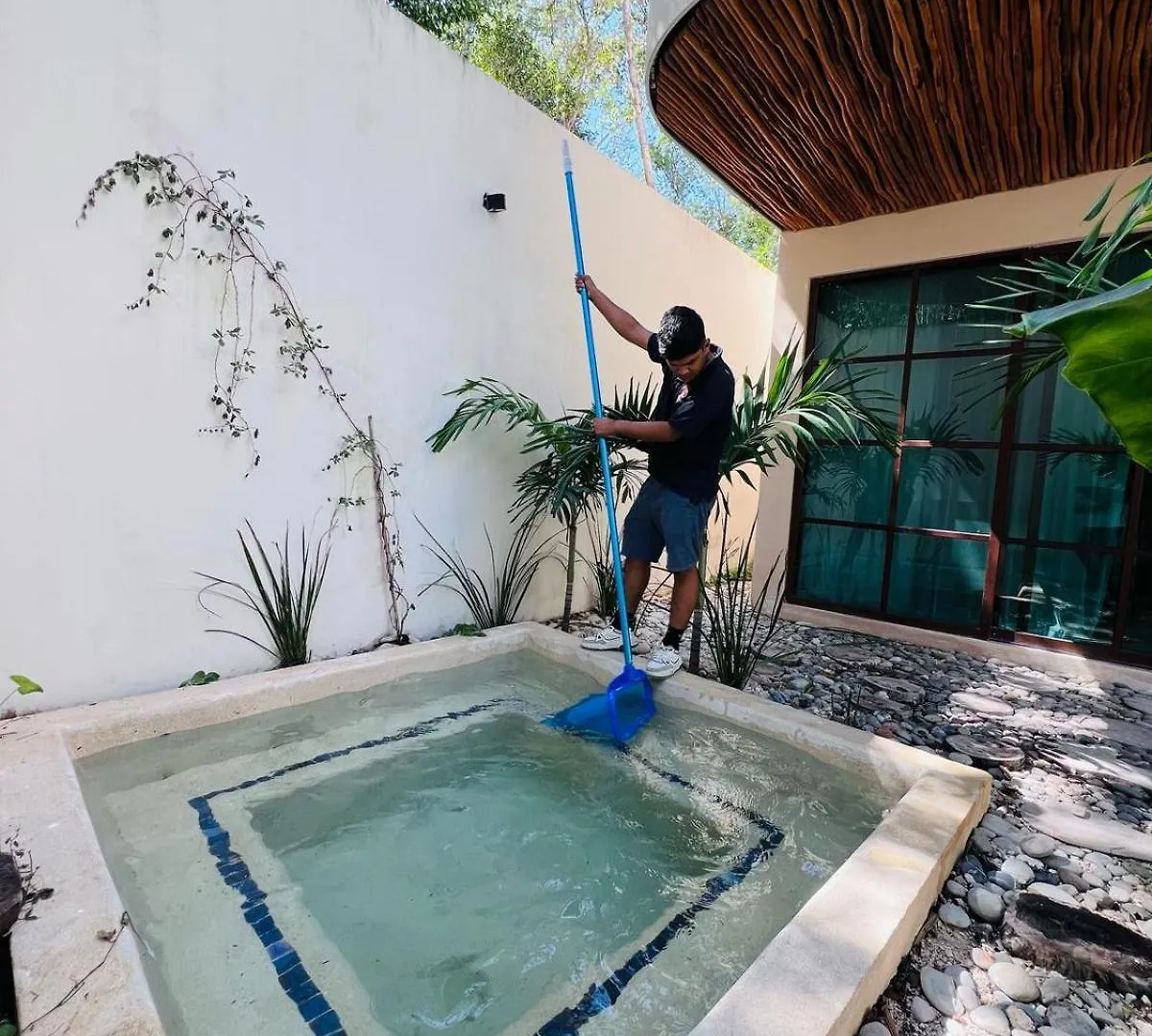Charming Boutique Condo Jungle Views Private Pool Tulum Apartment